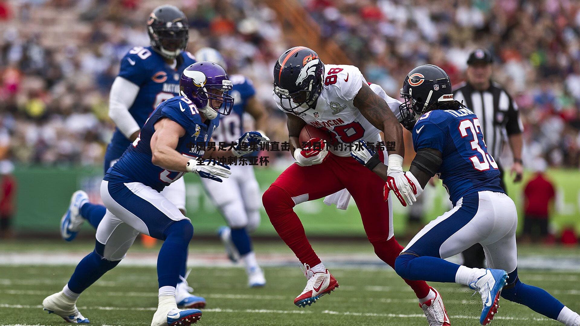 中国男足大连集训直击,烈日下的汗水与希望,全力冲刺东亚杯